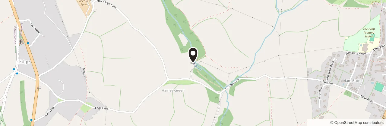 Map of the lanes between Edge and Painswick, with a pin at Shadyplants